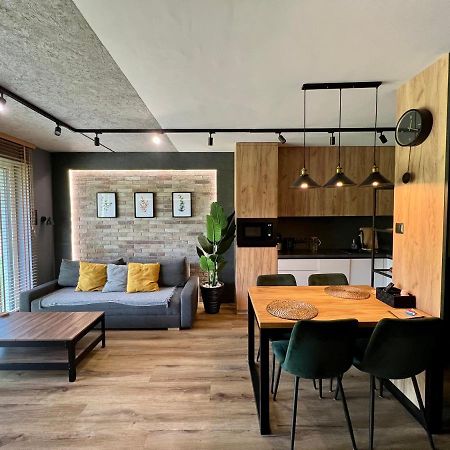 Loft Klonowa - Apartament Z Garazem Kielce Kültér fotó